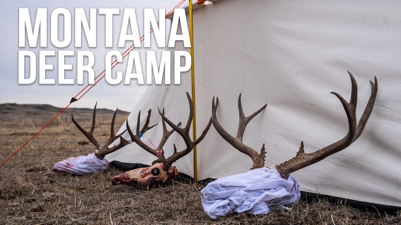 Montana Deer Camp