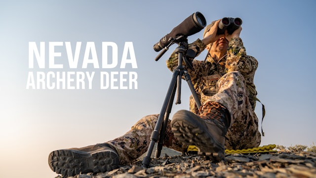 Nevada Archery Mule Deer