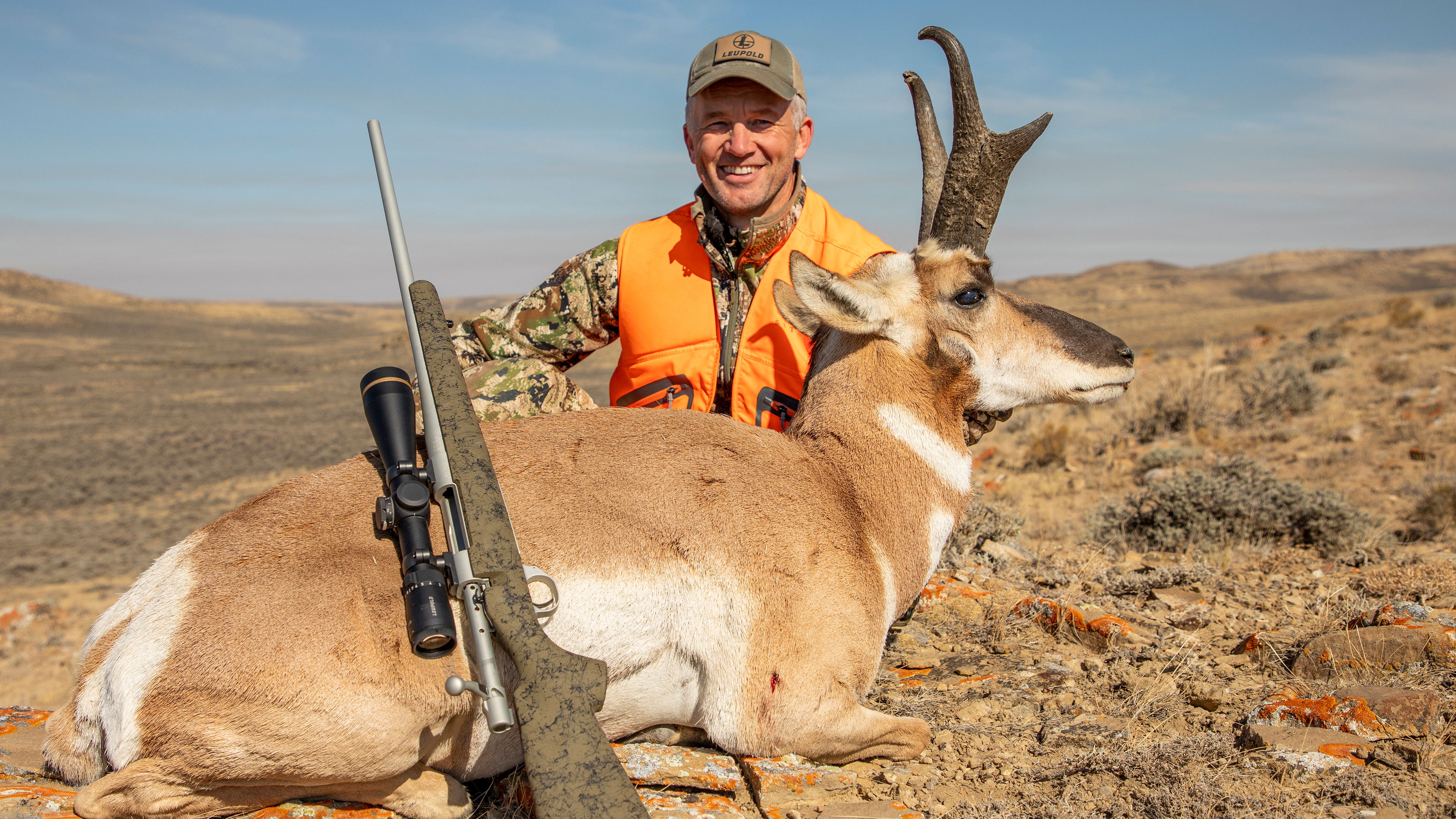 Wyoming Pronghorn
