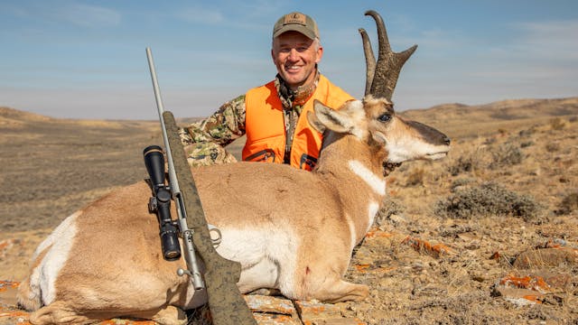 Wyoming Pronghorn