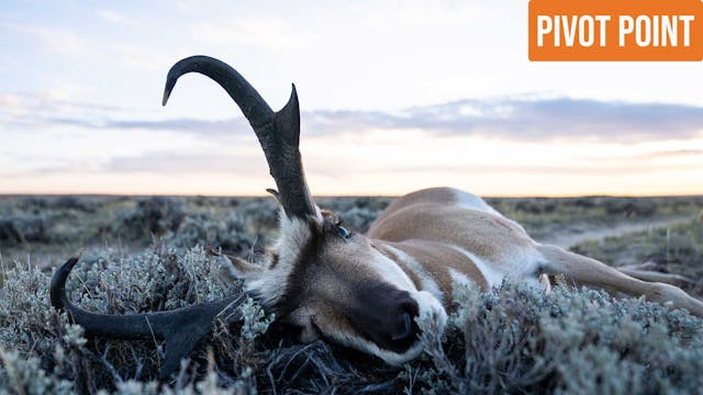 Pivot Point | Wyoming Pronghorn with ...