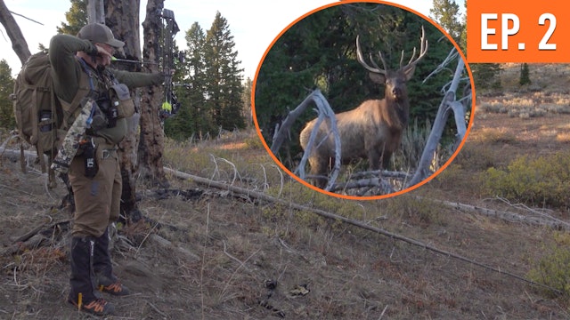 FULL DRAW On A Public Land Bull | Backcountry Elk Hunt (EP. 2)