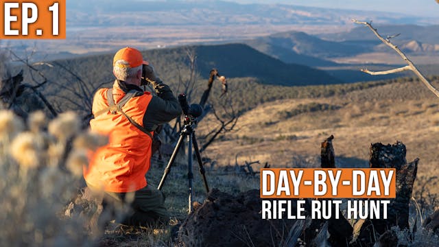 There's Nothing Like Opening Day of D...