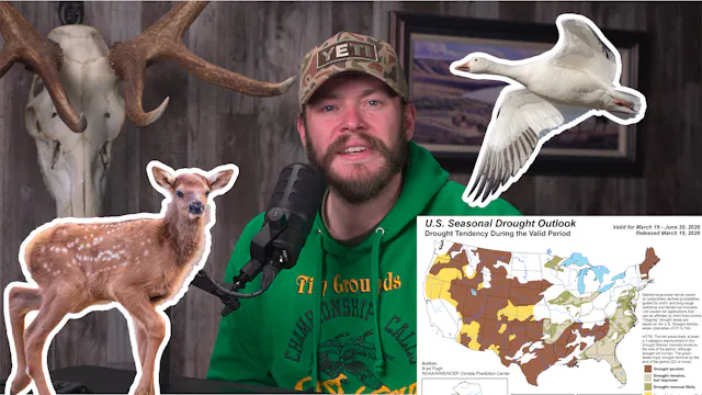 What's Happening in the West | Fresh ...