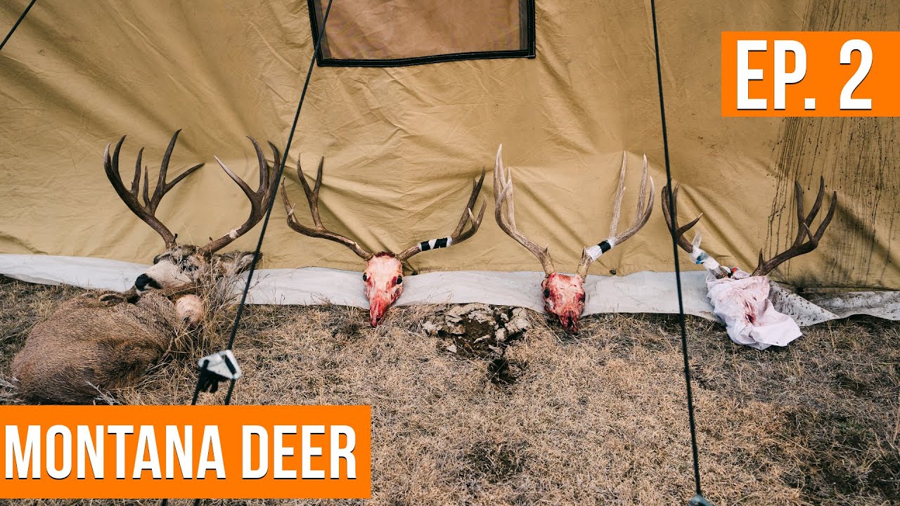 A Wall Tent DEER CAMP On Public Land | Montana Deer (EP. 2)
