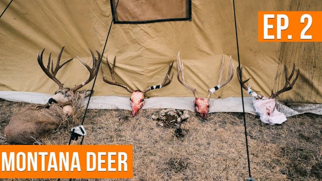A Wall Tent DEER CAMP On Public Land ...