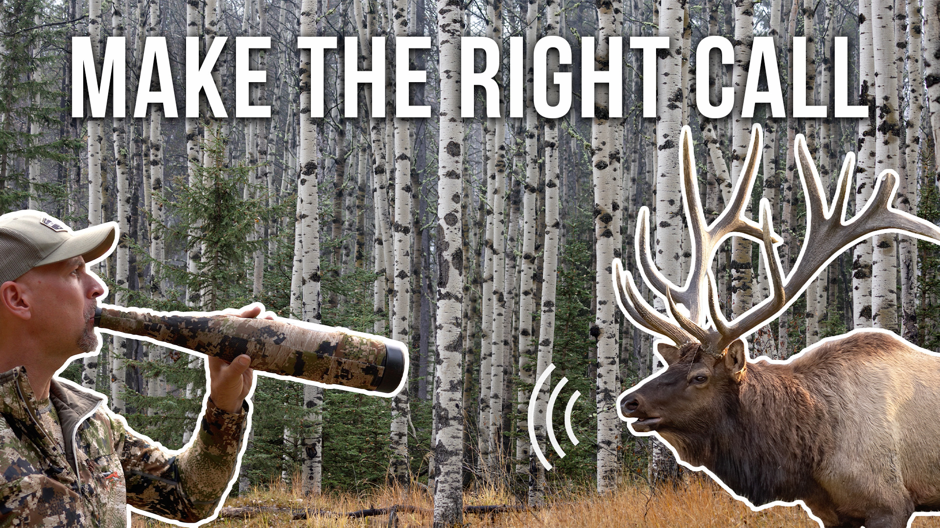 How a World Champion Calls Elk in Real Hunting Situations