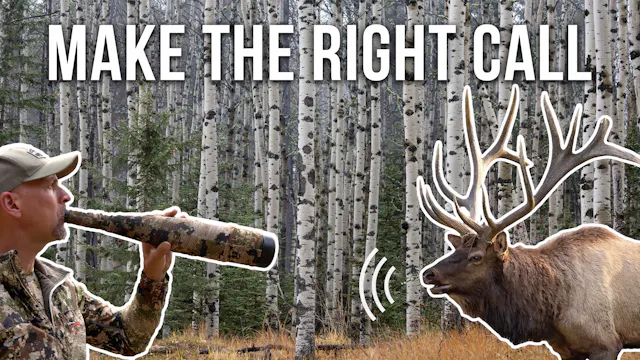 How a World Champion Calls Elk in Rea...