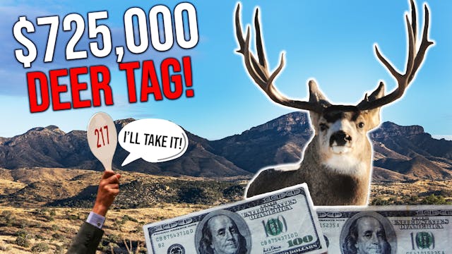 $725,000 Mule Deer Tag | Fresh Tracks...