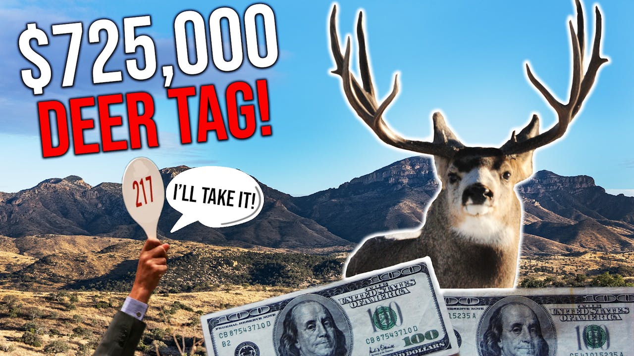 725,000 Mule Deer Tag Fresh Tracks Weekly (Ep. 30) Fresh Tracks+