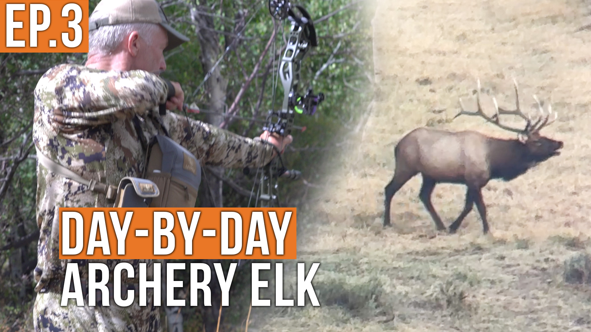 Randy Lets an Arrow Fly… | Archery Elk (EP.3)