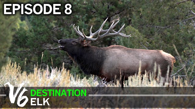 A Lucky Horseshoe - Episode 8 (Destination Elk V6)