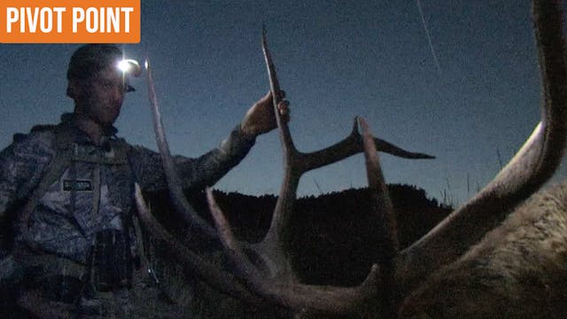 Pivot Point | Montana Archery Elk 