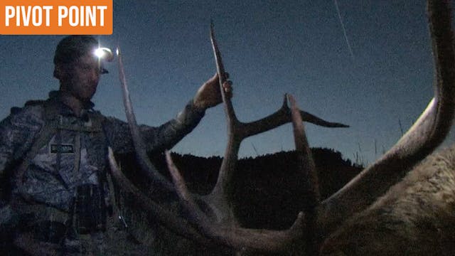 Pivot Point | Montana Archery Elk
