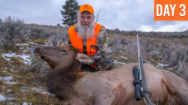 The Quickest Elk Hunt We've Ever Filmed | Montana Rifle Opener