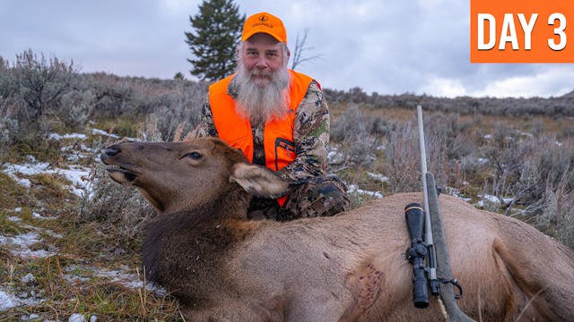 The Quickest Elk Hunt We've Ever Film...