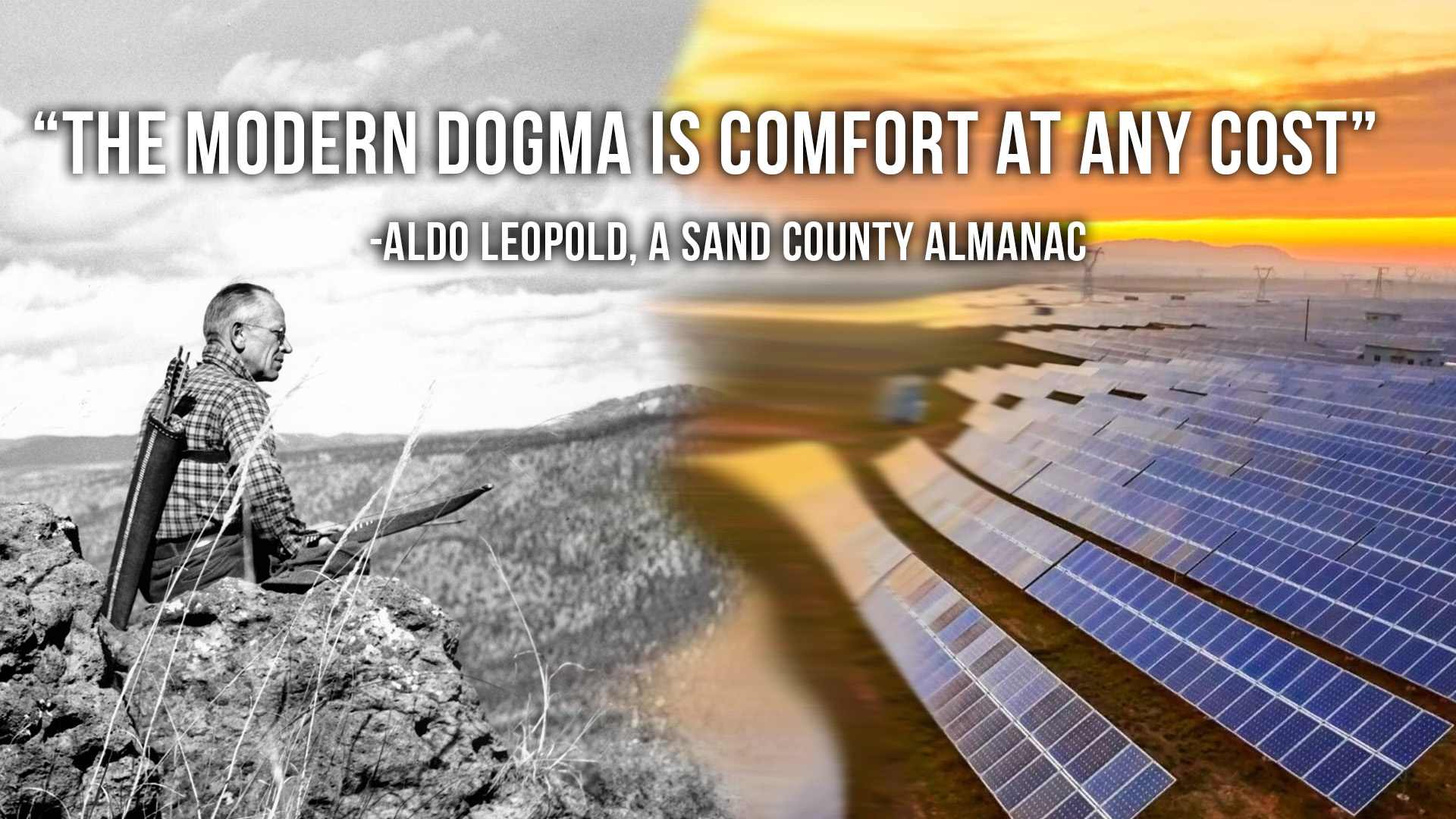 Paying for Comfy Lives using Currency of Wildlife | Fresh Tracks Weekly (Ep. 81)