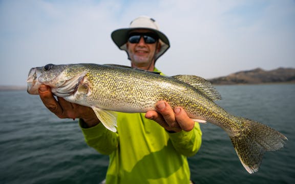 Fort Peck Walleyes