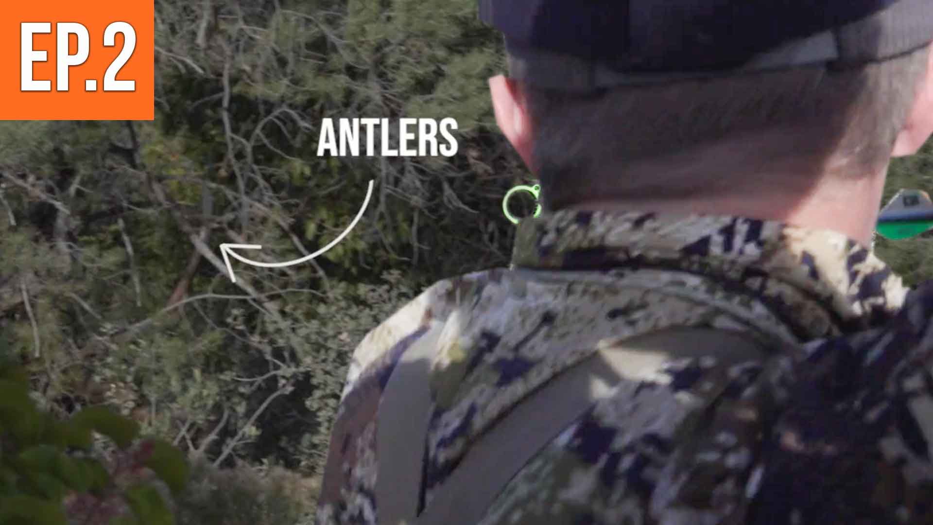 30 YARDS FULL Draw | Arizona Archery Elk (EP.2)