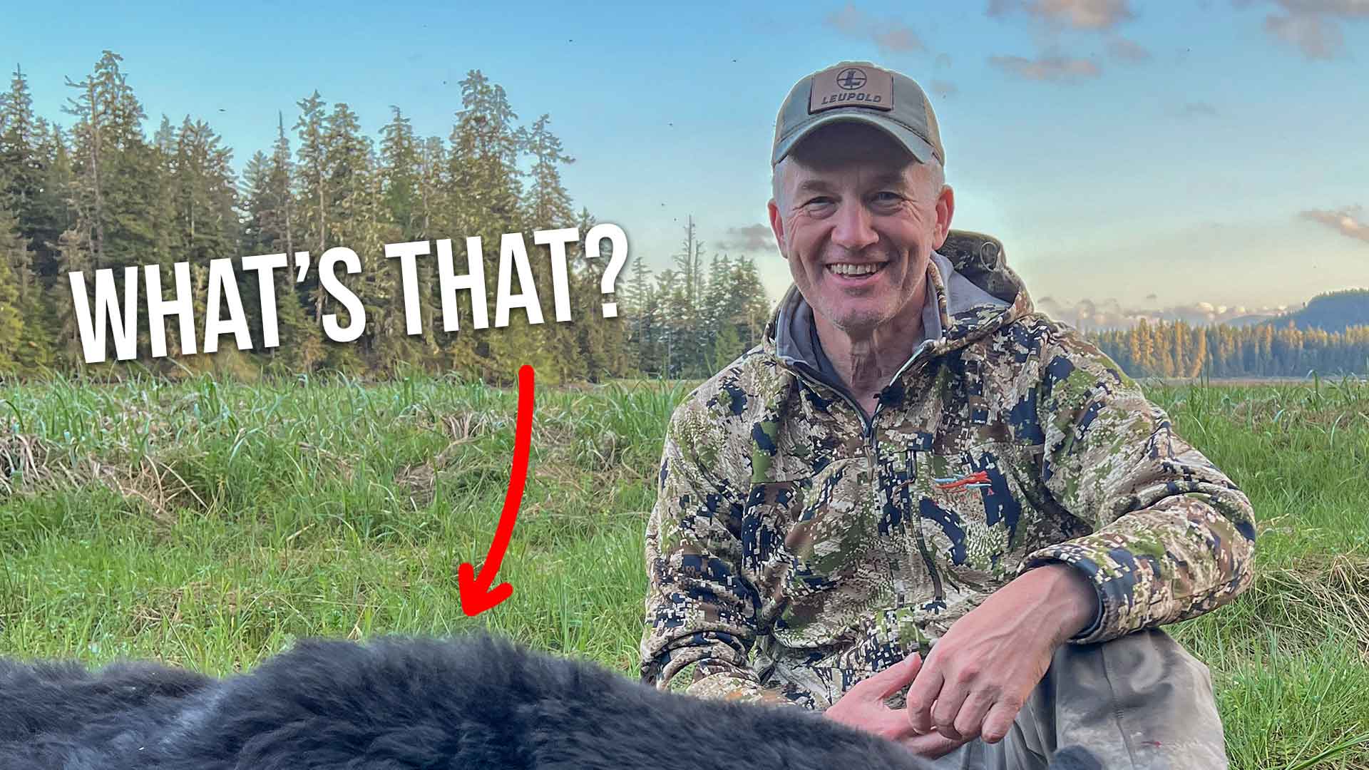 Bear Camp Update From Alaska and More! Fresh Tracks Weekly EP.42