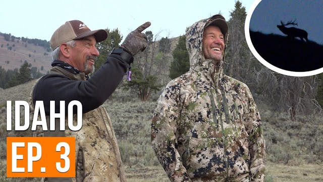 Calling Elk FROM CAMP! | Idaho Archer...