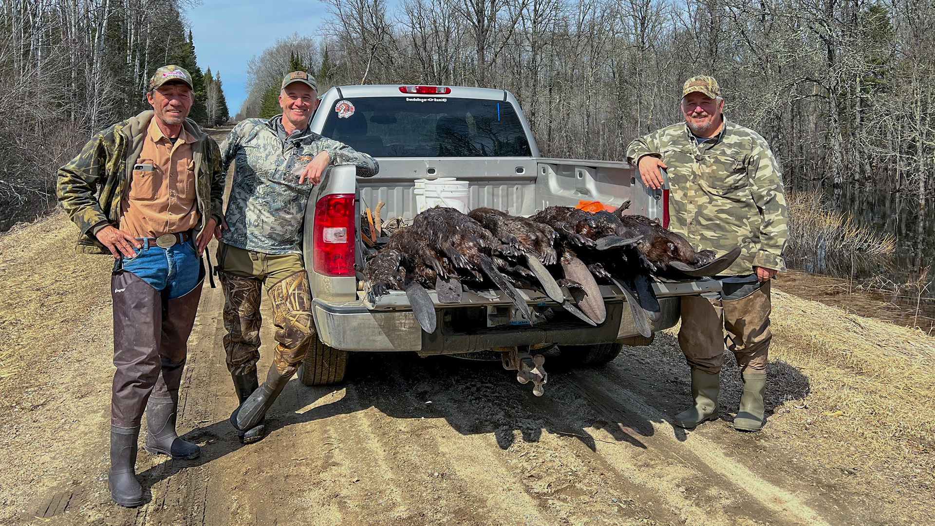 53 Beavers in 5 Days 