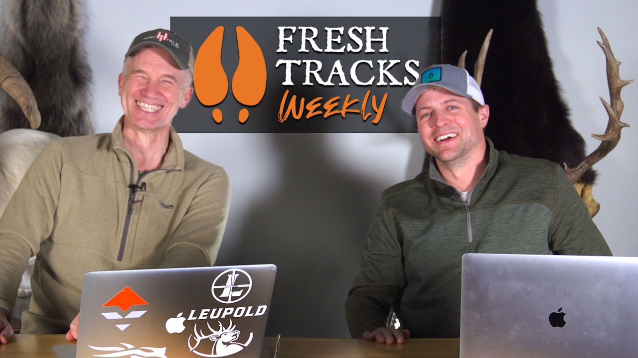 Fresh Tracks Weekly