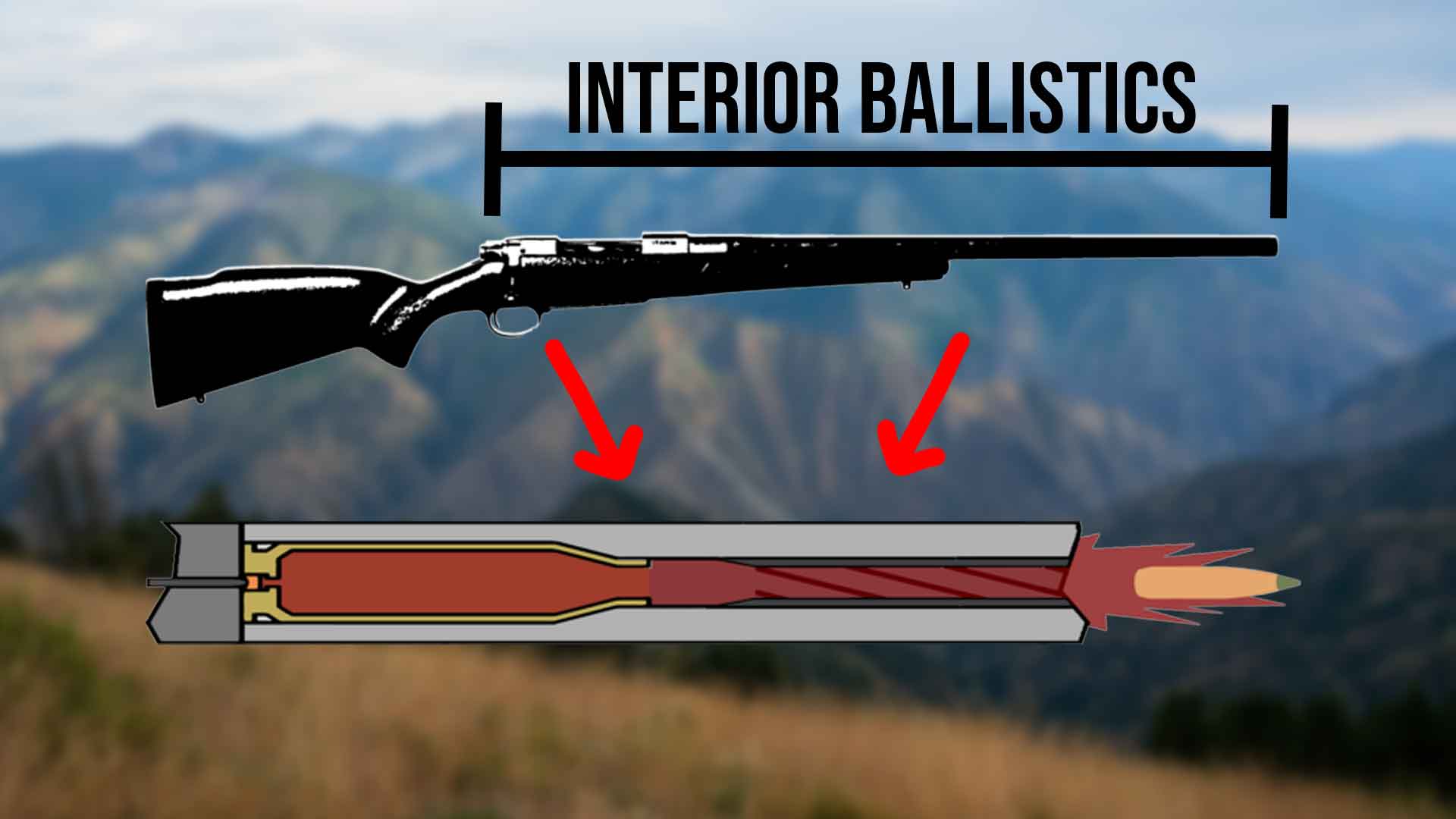 Interior Ballistics | Bulls, Bullets and Ballistics with NOSLER 