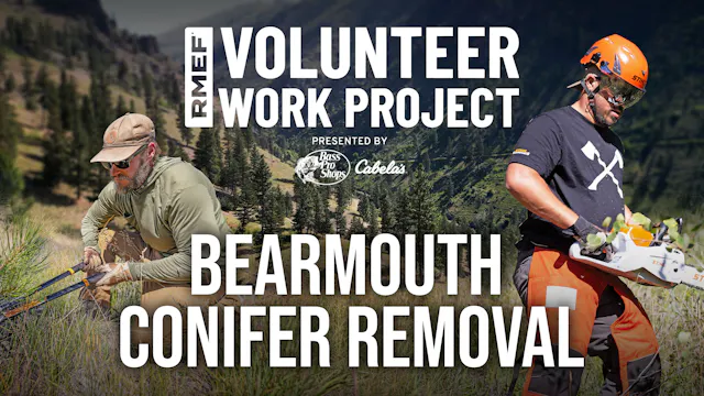 Trading Rifles for Chainsaws to Help Elk