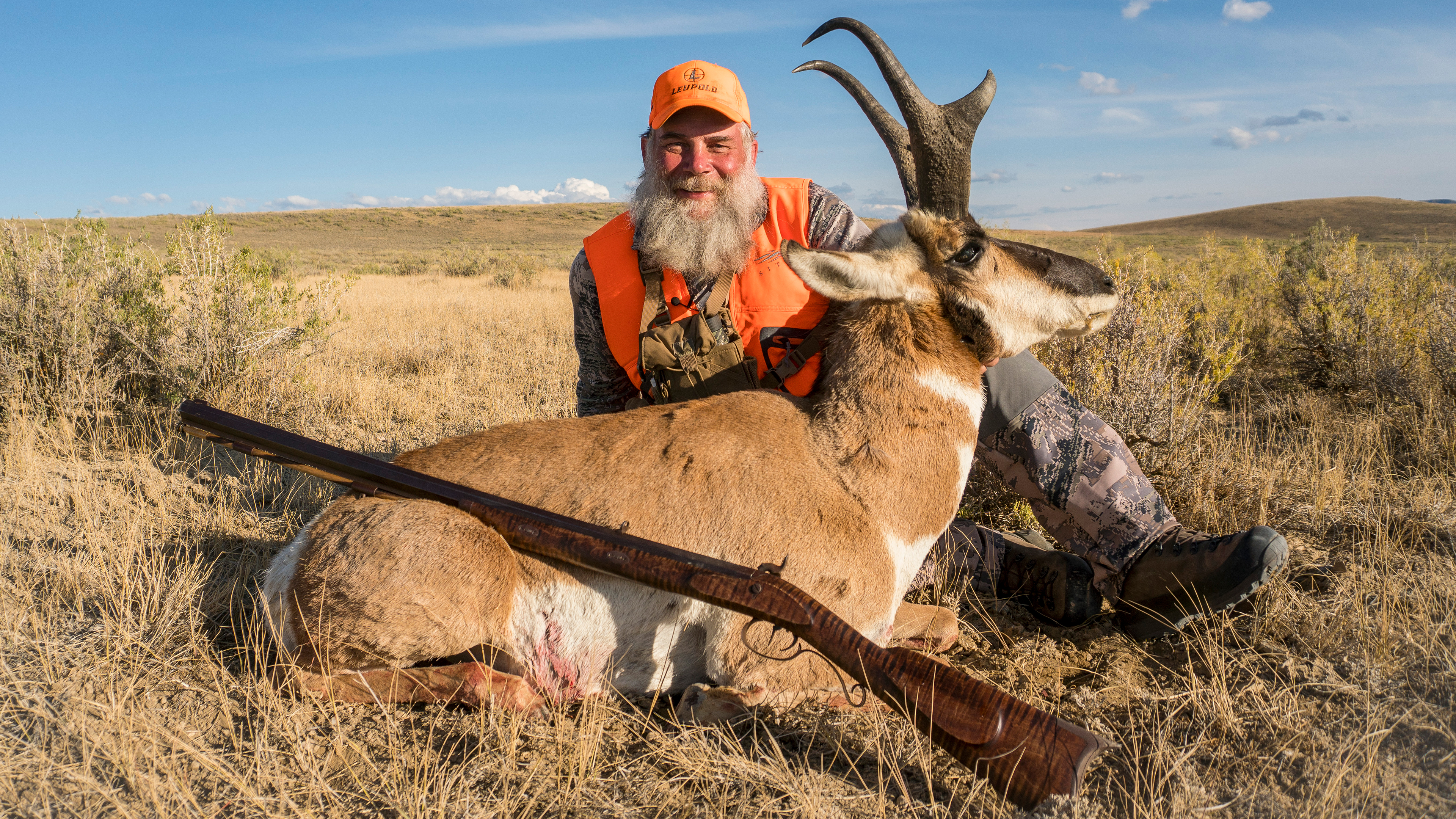 Wyoming Smokepole Pronghorn