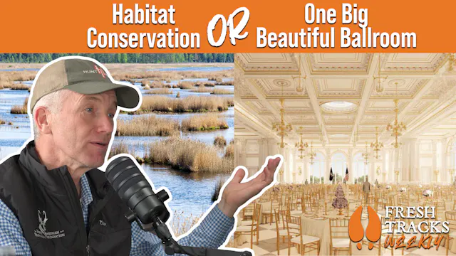 Congress is Cutting Conservation to P...