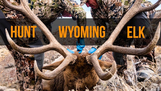 The Best Value for Elk? | Hunt Wyoming in 2022