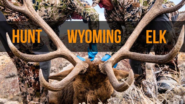 The Best Value for Elk? | Hunt Wyomin...