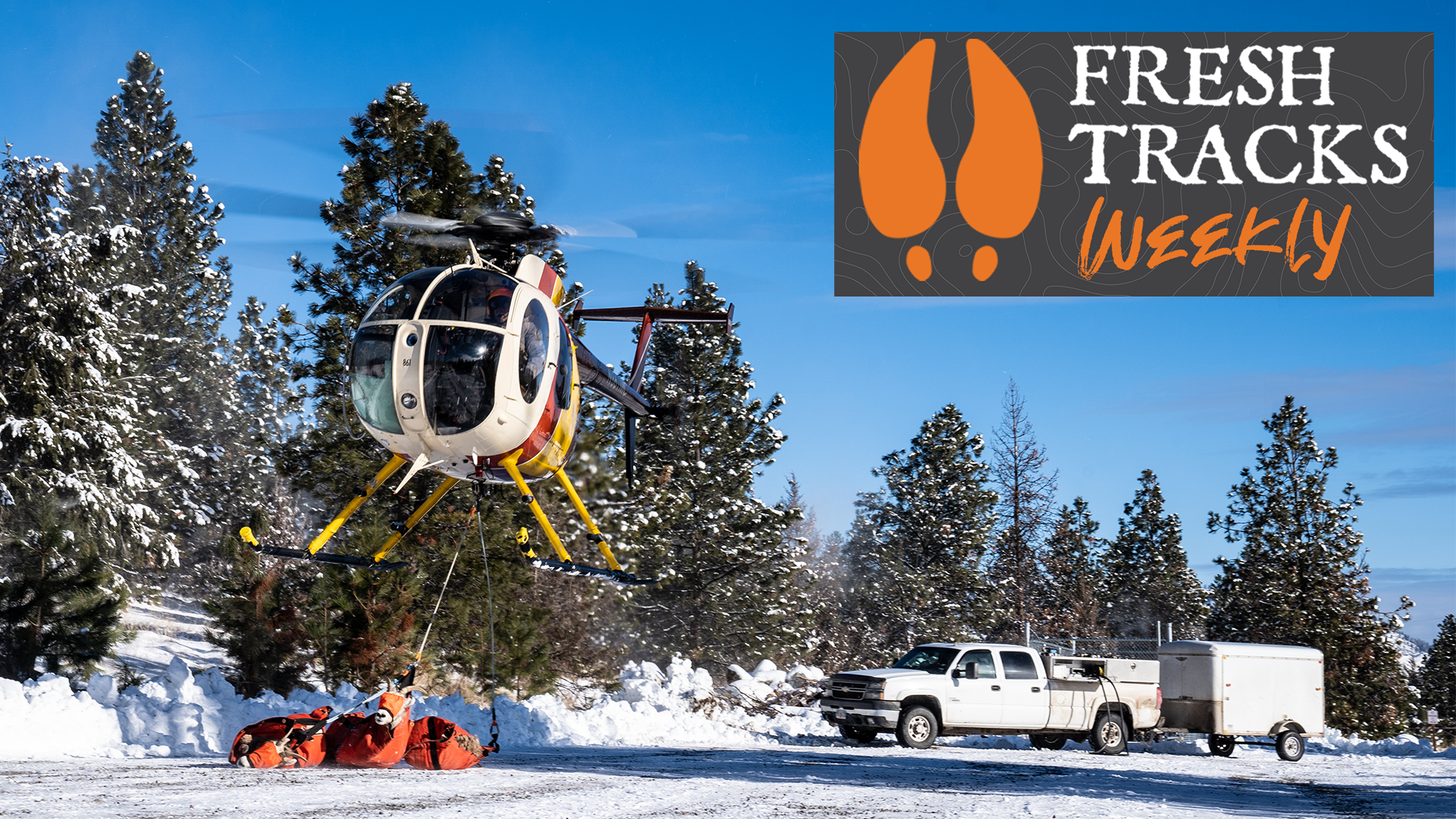 How to Make More Elk | Fresh Tracks Weekly (Ep. 7)