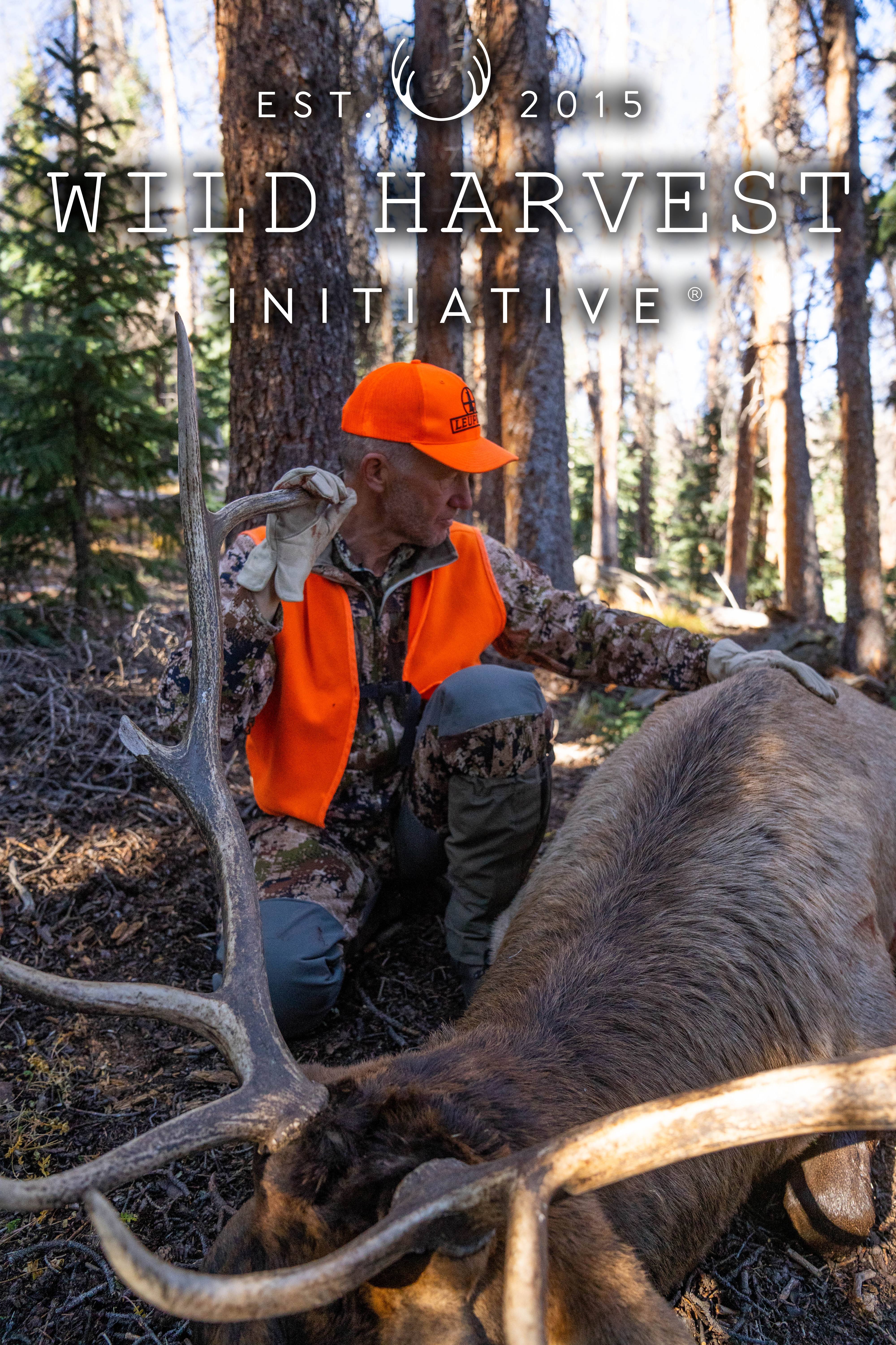 Wild Harvest Initiative Series