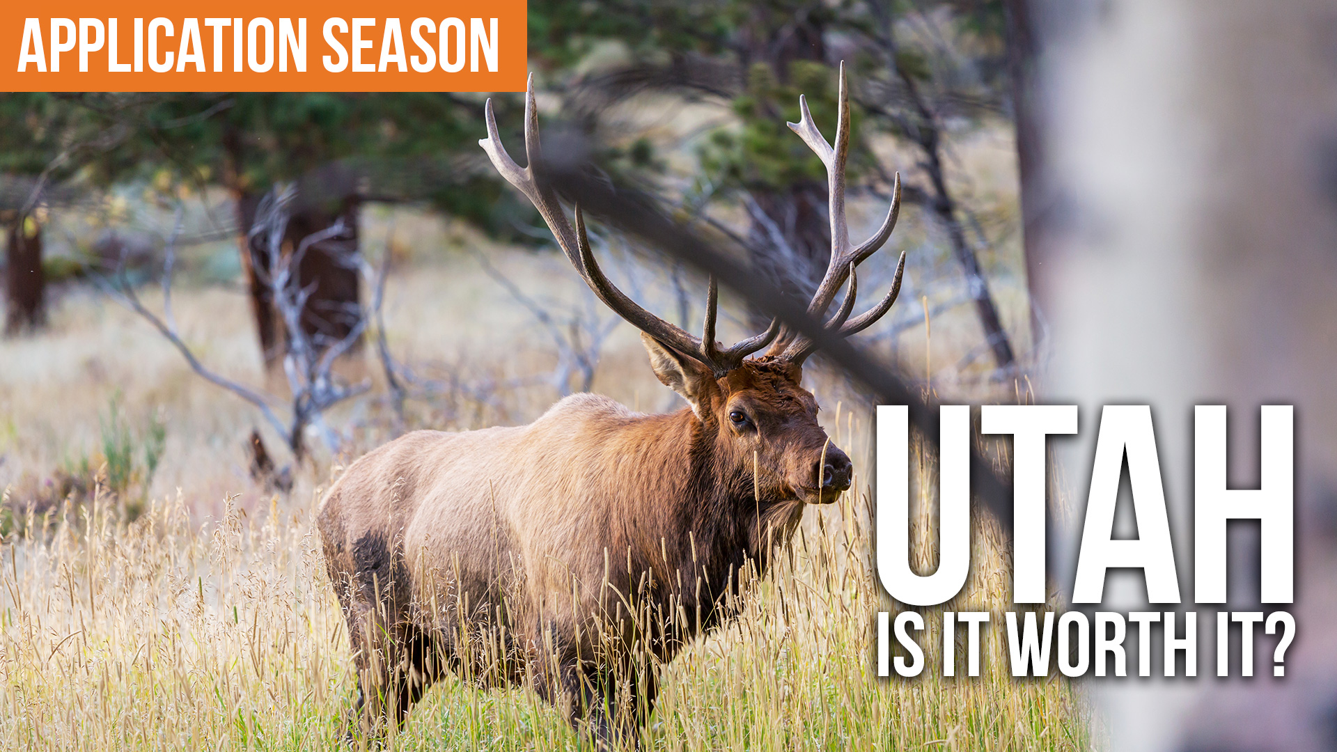 2025 Utah Non Resident Application Strategy 