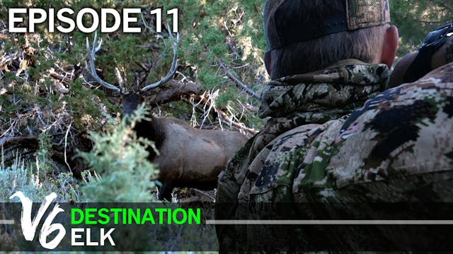 My Ears Are Ringing With Elk Bugles - Episode 11 (Destination Elk V6)