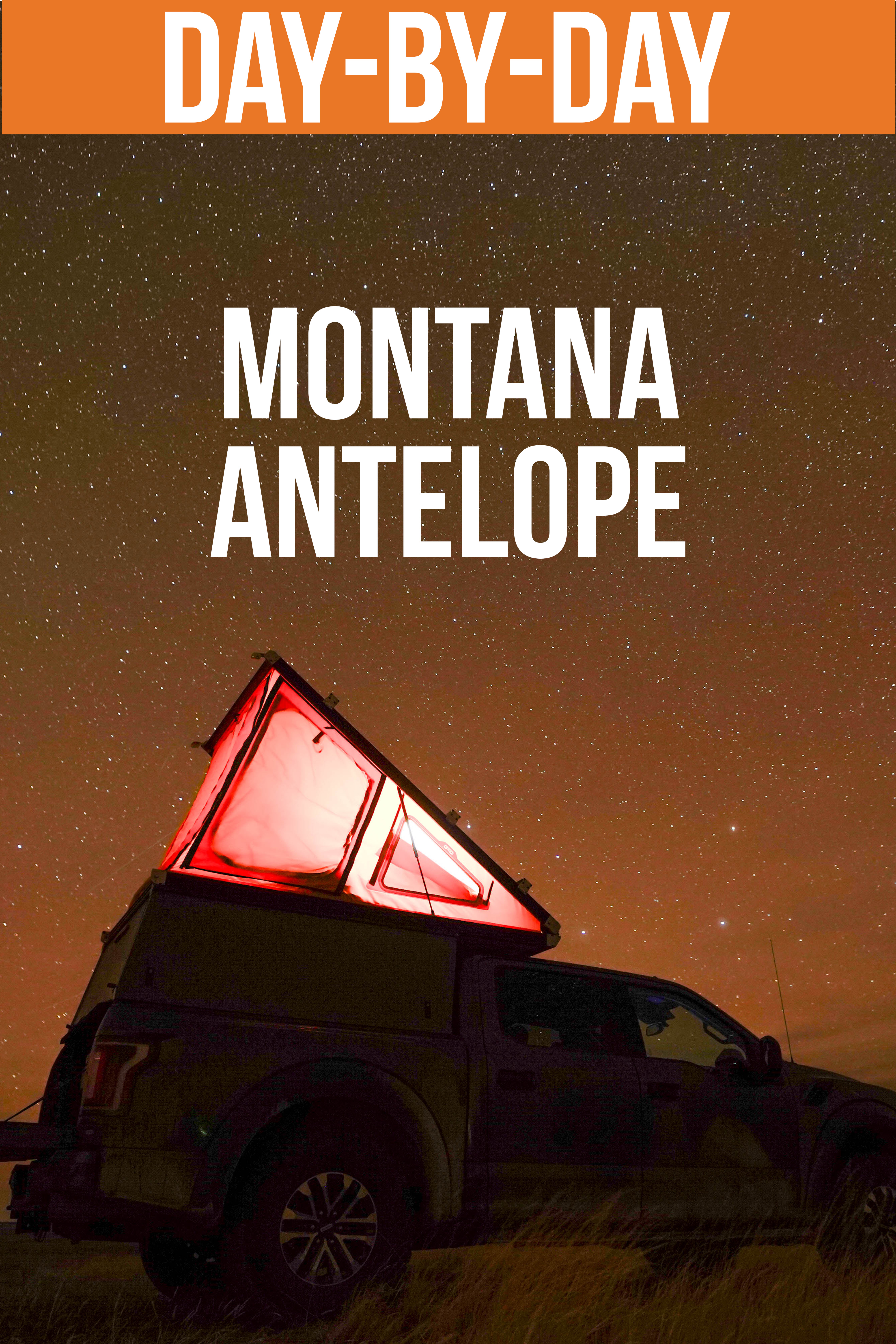 Montana Antelope with Randy