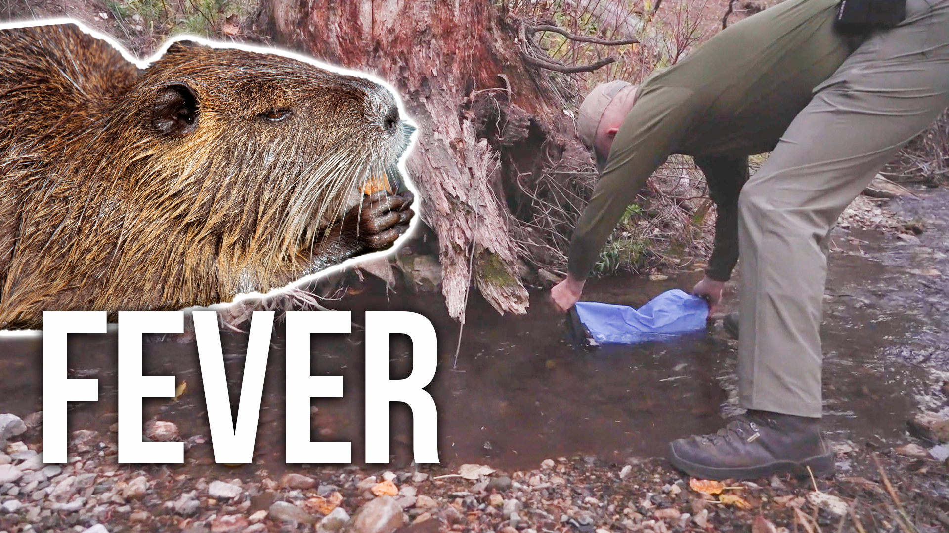 How Hunters Can Avoid Giardia