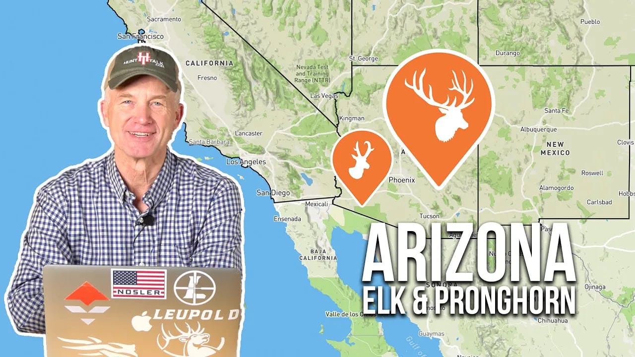 How to Apply for Elk and Pronghorn in Arizona 2024 Application Season