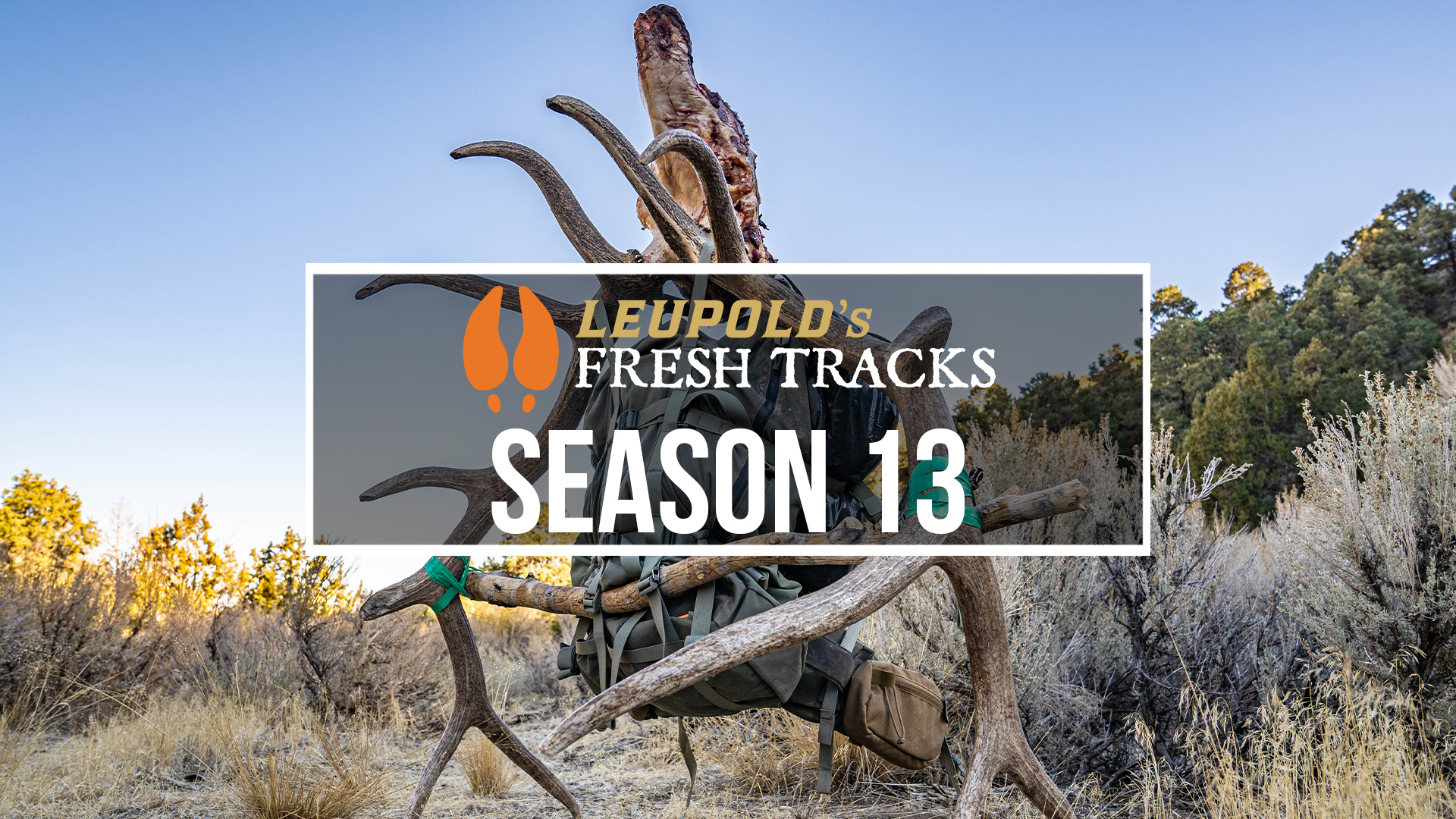 Fresh Tracks Season 13