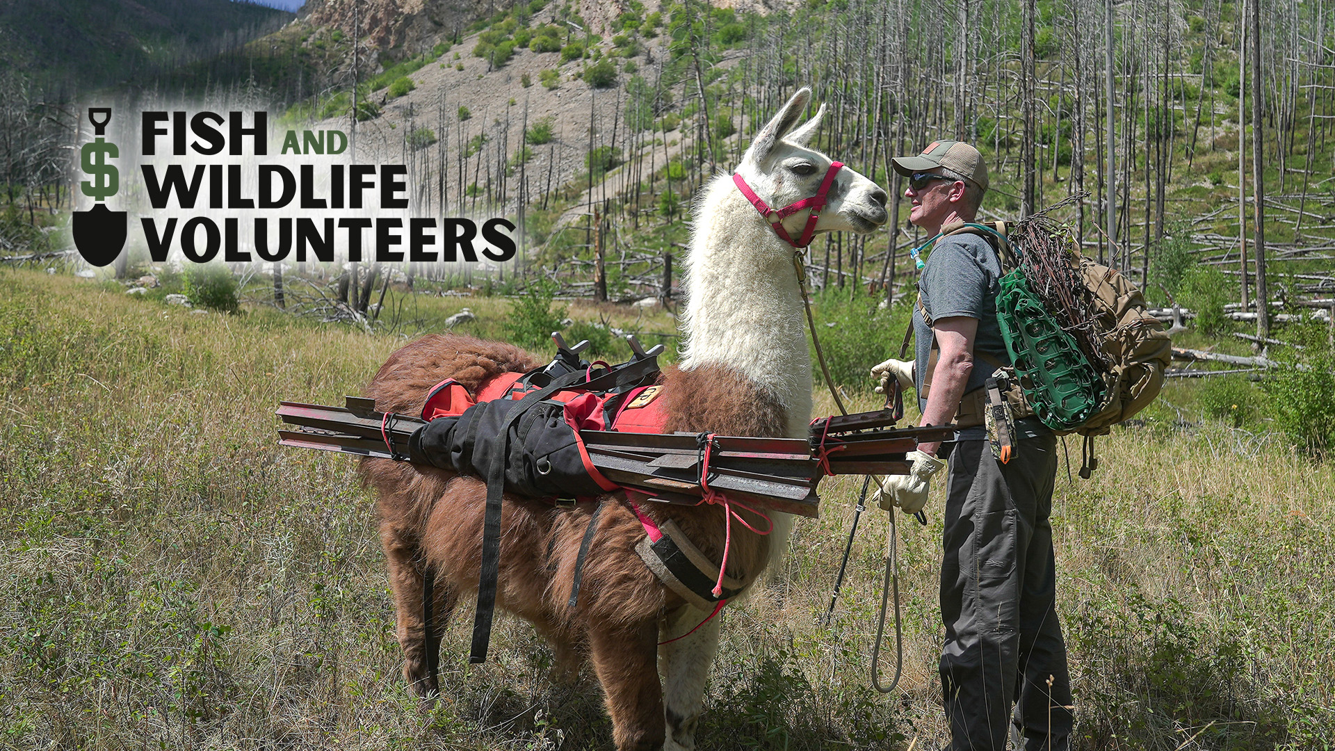 Giving Your Time for Conservation | Fresh Tracks Weekly (Ep. 93)