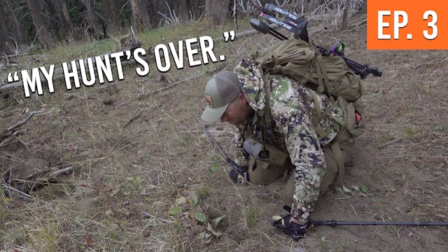 Looking For Beau's Bull | Backcountry...