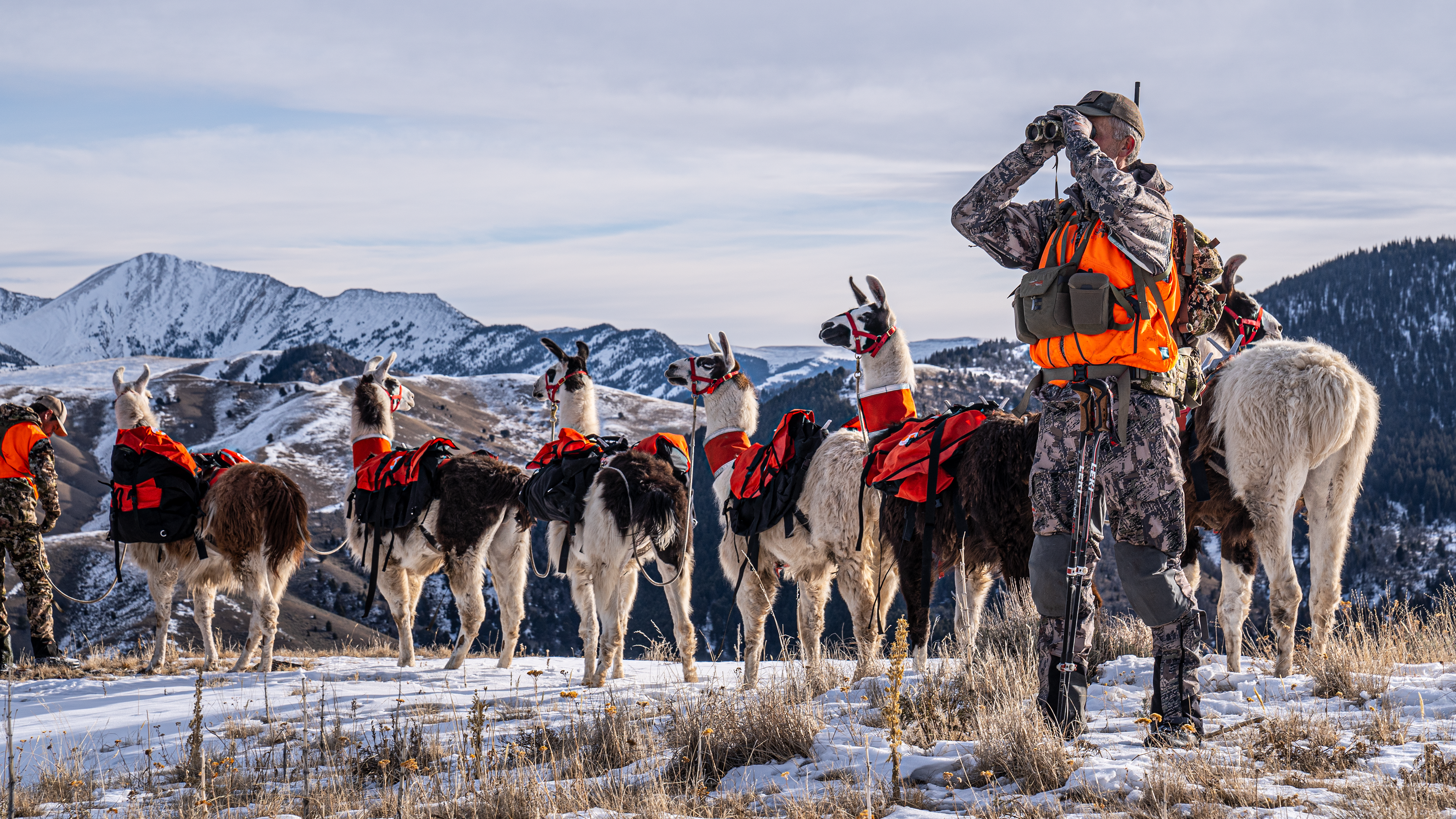 Public Land Bulls | Montana Rifle Elk with Beau Baty and Matt Seidel