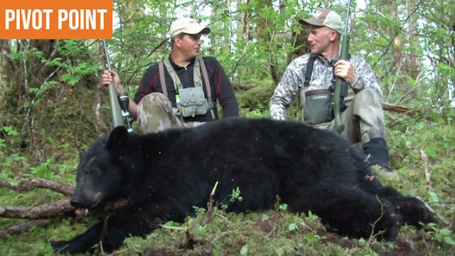 2014 Alaska Bear | Pivot Point