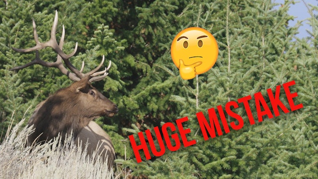1200 Free Elk Tags?! | Fresh Tracks Weekly (Ep. 16)