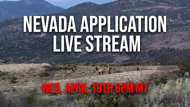 Nevada Application Live Stream