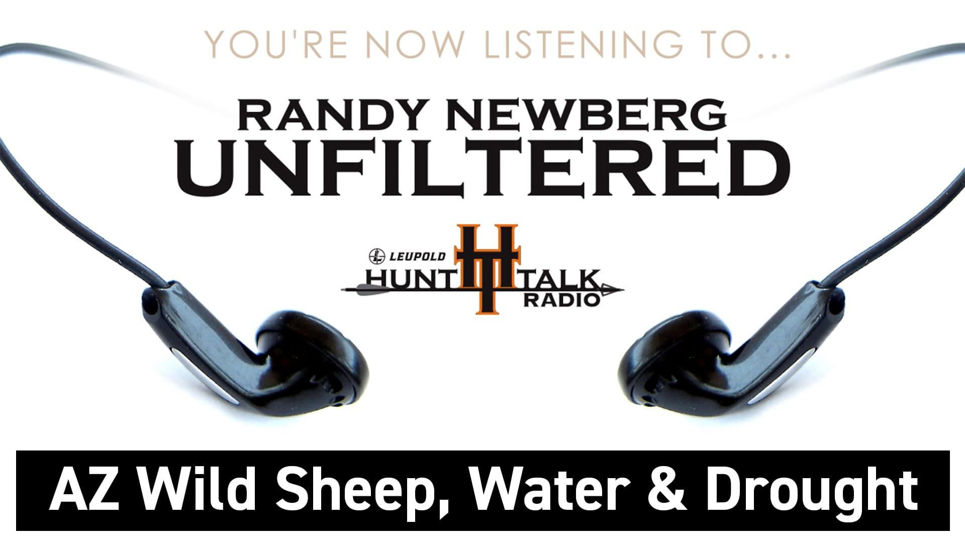 Wild Sheep Water Drought