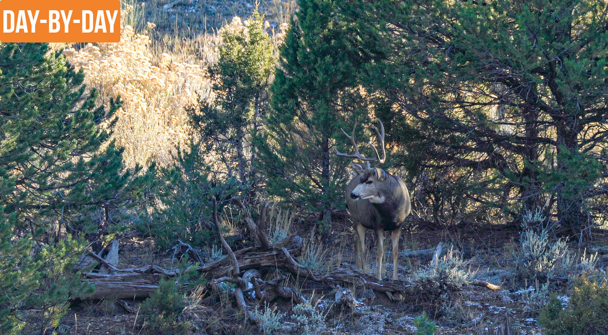 Looking For The BIG ONE! | CO Deer with Matthew and Randy (ep.1)