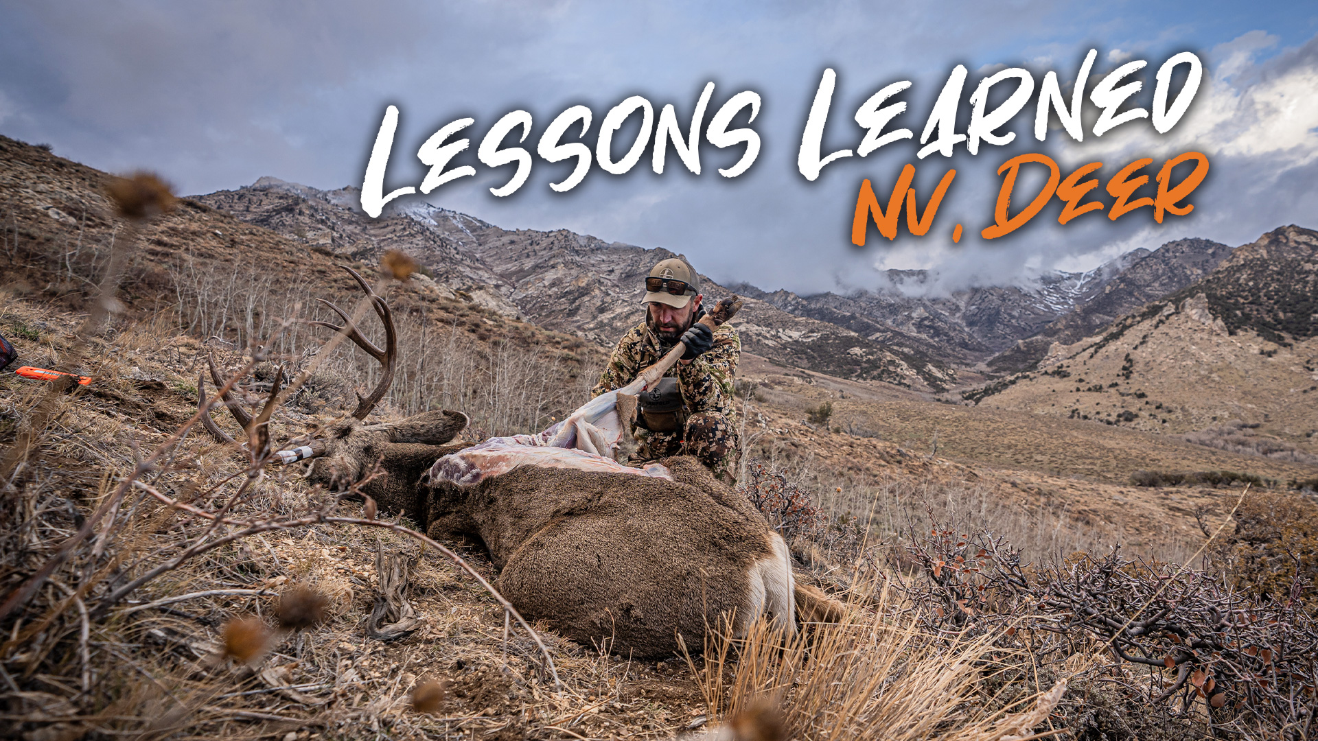 Lessons Learned | Nevada Mule Deer with Dale 